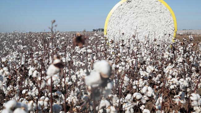 The ACCC has flagged the potential sale of Australia’s largest cotton gin company to French agricultural merchant Louis Dreyfus Company. Picture: Scott Olson/Getty Images/AFP