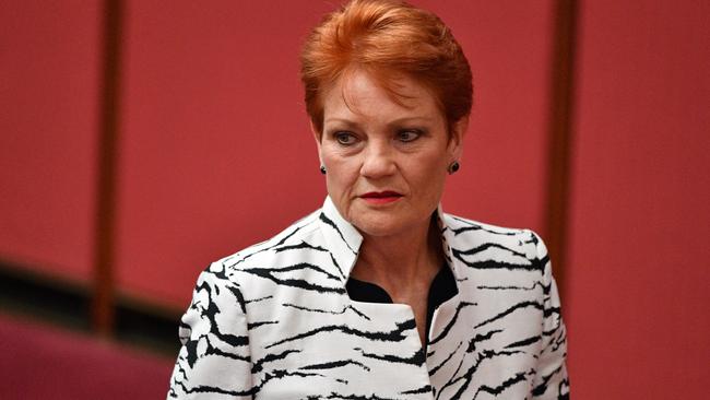 Pauline Hanson should take responsibility for what happened in the Senate chamber yesterday. Picture: AAP Image/Mick Tsikas