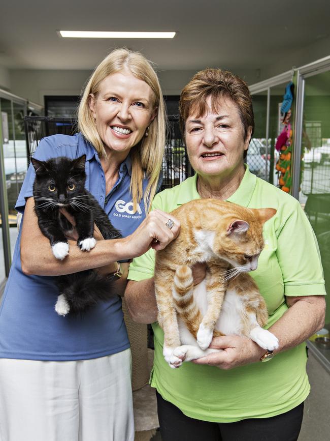 Gold Coast Airport Chief Operating Officer Marion Charlton joins Friends of the Pound president Sonia Tritcher and some of the animals at the Friends facility at Tweed Heads South. Photo: MEL BELANIC