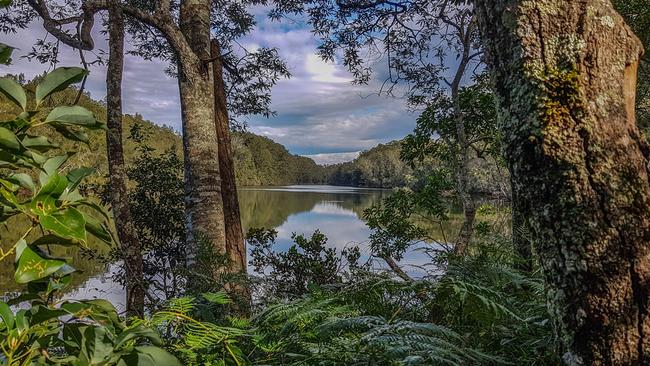 Bongil Bongil National Park is a paradise on the doorstep of Coffs Harbour. Picture: Iain Bennett