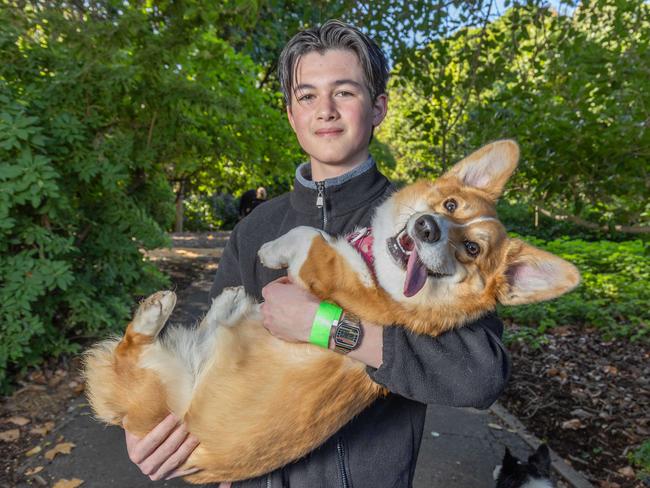 RSPCA SA's Million Paws Walk in Adelaide on May 25, 2025. Picture: Ben Clark