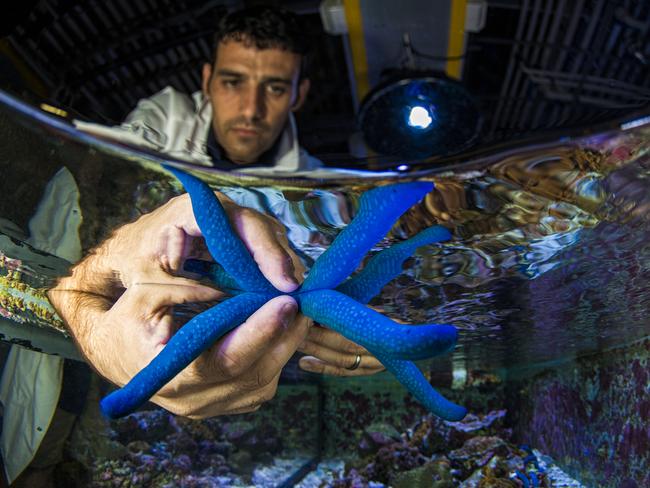 A researcher at the National Sea Simulator. Picture: Christian Miller