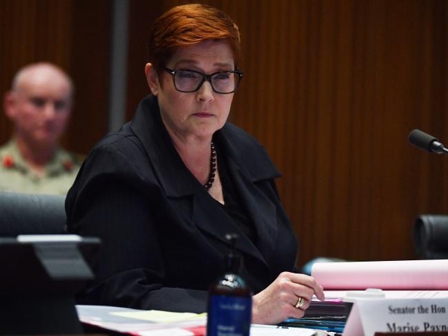 Foreign Affairs minister Marise Payne