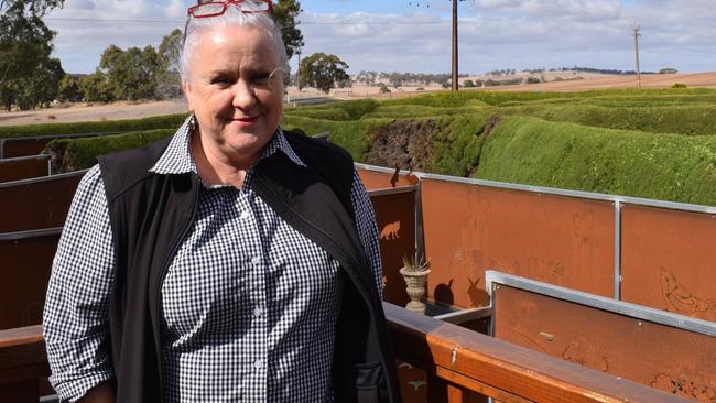 Sharon Morris, manager of the Mintaro Maze. Picture: Jason Katsaras