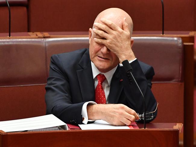 Liberal Democratic Party Senator David Leyonhjelm listens to Senator Cory Bernardi. Picture: Mick Tsikas/AAP