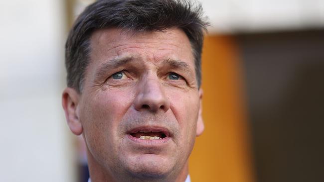 Energy Minister Angus Taylor. Picture: Gary Ramage