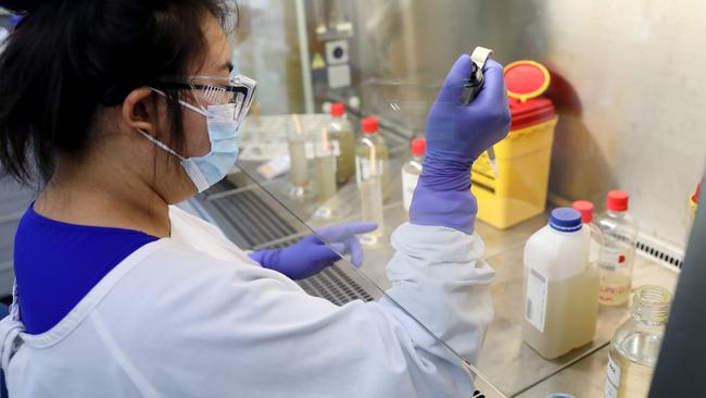 A Sydney Water staffer tests wastewater samples for signs of COVID-19. Picture: NCA NewsWire / Damian Shaw