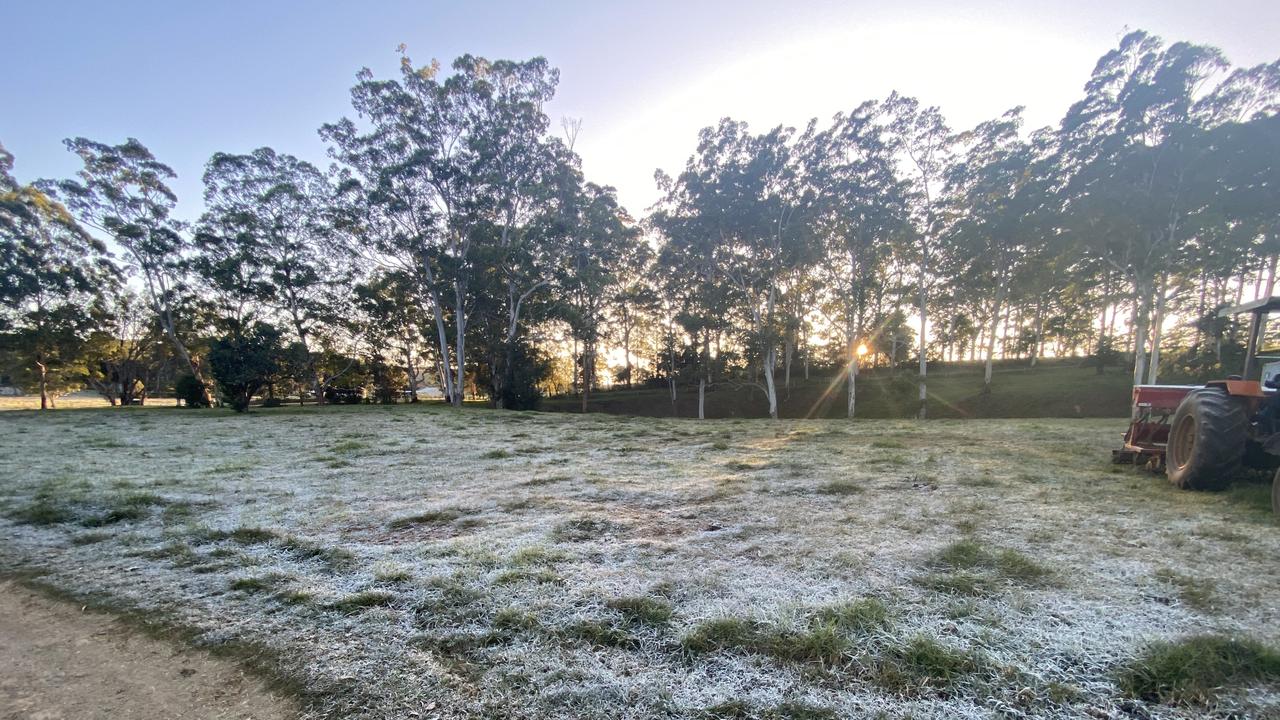 Frost has blanketed Crediton in the Pioneer Valley as temperatures dip below zero. Picture: Contributed