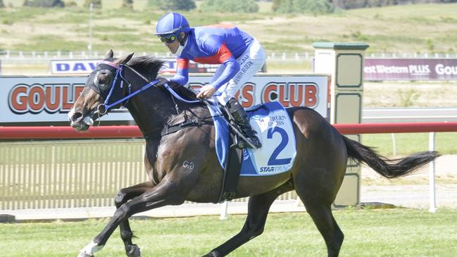 Invincible Dash is out to make amends in the Narrandera Cup after a luckless run last year. Picture: Bradley Photos