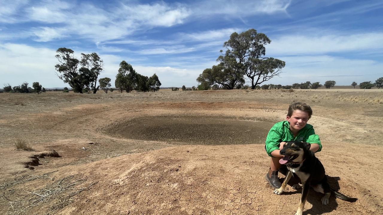 Elwood and Snickers out checking troughs on a farm near Charlton. Picture: Supplied