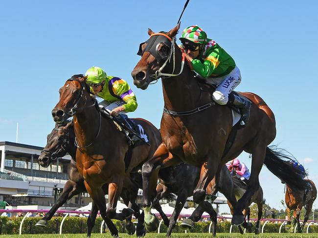 Snoopy returns to his more familiar direction when he races back in Sydney again. Picture: Getty Images
