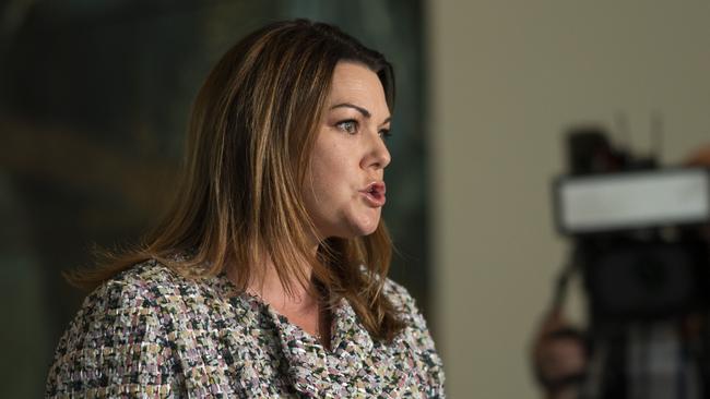 Greens water spokeswoman Sarah Hanson-Young wants the 450GL of water for the environment under the basin plan “bought back and returned to the river before the next election”.