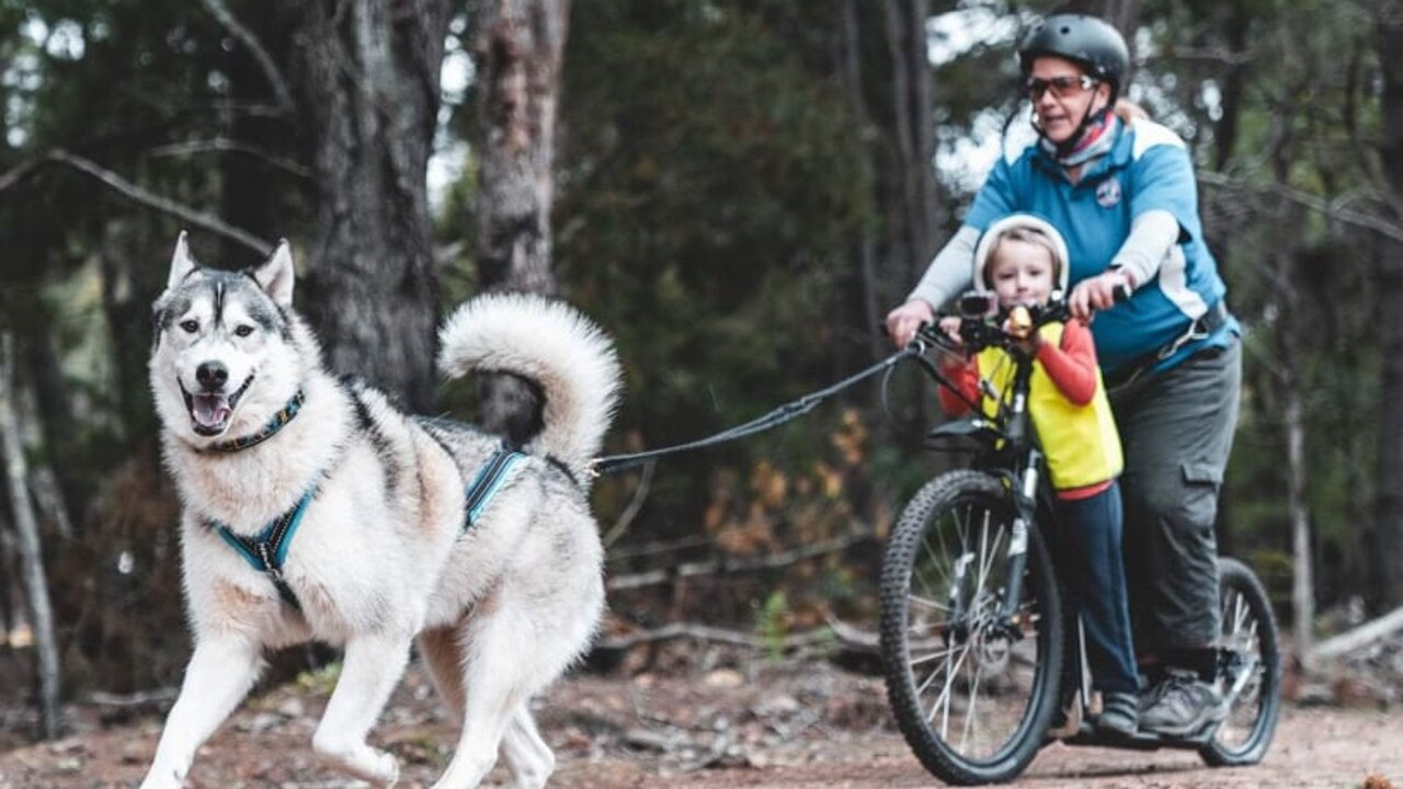 TRIBUTE: Family, friends, and the Western Australia sled dog community are in mourning after Monique Hall tragically lost her life in a car crash, while she was moving back to her home state, Queensland, with her young family. Pic: Supplied