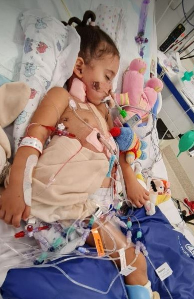 Charli fights for life in hospital with her teddy bears.