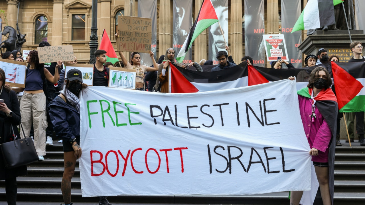 Offensive signs spotted at pro-Palestine protest in Melbourne