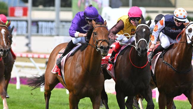 The Cranbourne Cup, which was won by Charterhouse last year, will keep its spot on the spring calendar. Picture: Vince Caligiuri/Getty Images