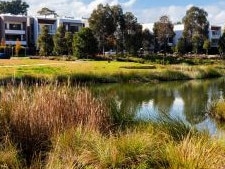 An image included in the draft Ingleside Place Strategy showing indicative medium density housing that may be built in the redevelopment precinct. Picture: Cox Architecture