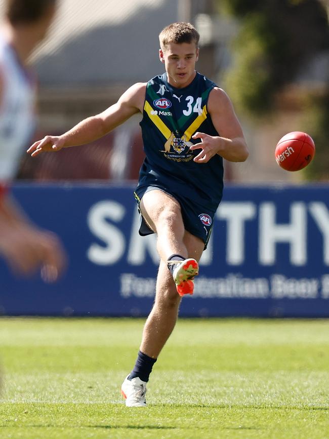 The young bull is expected to be taken by the Tigers. (Photo by Michael Willson/AFL Photos via Getty Images)