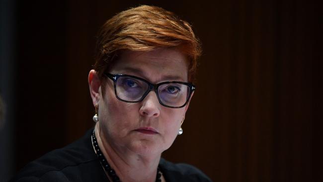 Foreign Minister Marise Payne said Australia was working to help secure permission for the ships to dock in the US. Picture: AAP