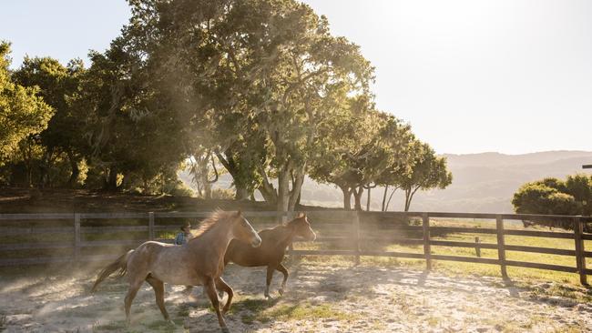 Equine therapy at Carmel Valley Ranch..