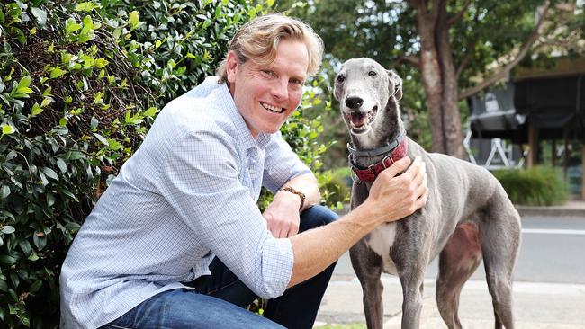WEEKEND TELEGRAPHS SPECIAL. APRIL 10, 2024. PLEASE CONTACT WEEKEND PIC EDITOR JEFF DARMANIN BEFORE PUBLISHING.Pictured is Bondi Vet Dr Lewis Hunt and greyhound Heidi, who is the new GAP ambassador supporting National Adoption Day. Picture: Tim hunter.