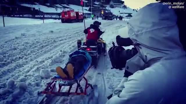 The Footy Show's Erin Molan injures herself on skiing trip