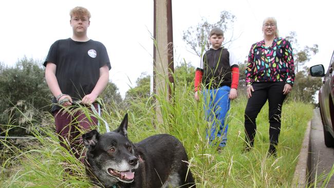 Mitcham Council resident Rachel Trembath says the verges in her area are not maintained, as the council spends $40k on campaigning for the Voice to parliament. Picture Dean Martin