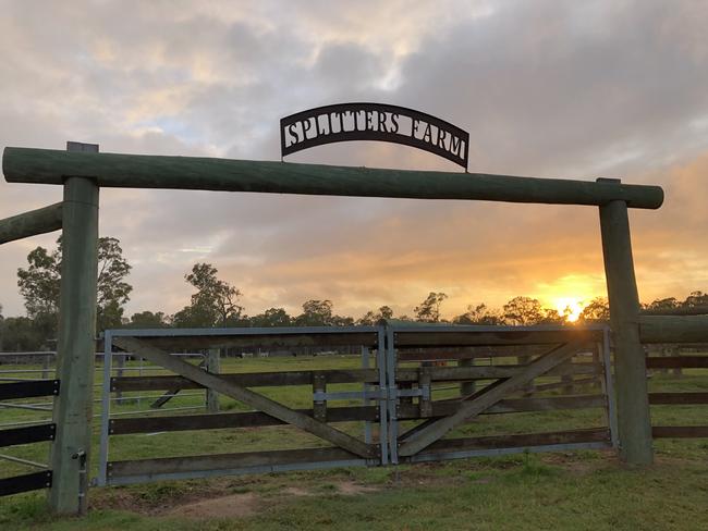 24/47Take a farm VIP tour near BundabergTake the kids on a self-guided walk to handfeed rescued farm animals then tuck into a picnic hamper stuffed with local produce by Splitters Farm, just 10 minutes from Bundaberg.