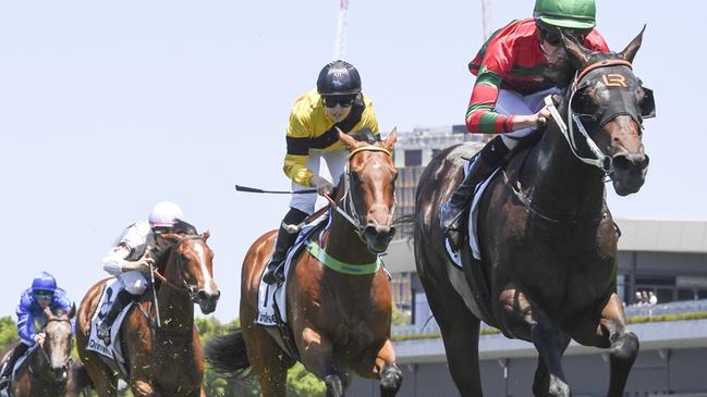 The Magic Man (yellow) finished runner up to Rivellino. Picture: Bradley Photos