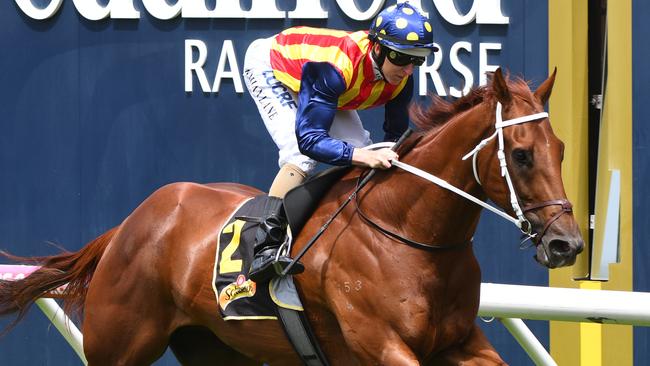 Nature Strip made a winning start for new trainer Chris Waller. Picture: Getty Images
