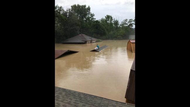 Photograph Shows Woman and Dog Stranded on Rooftop Amid Deadly Kentucky ...