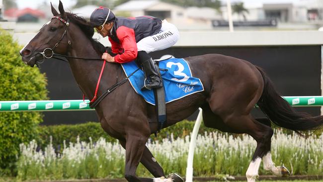 Awesome Pluck gts in well at the set weights. Picture: AAP Image/Jono Searle