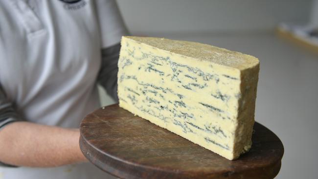 Berrys Creek Cheese owner Cheryl Hulls holds their acclaimed Oak Blue Cheese Photo: Dannika Bonser