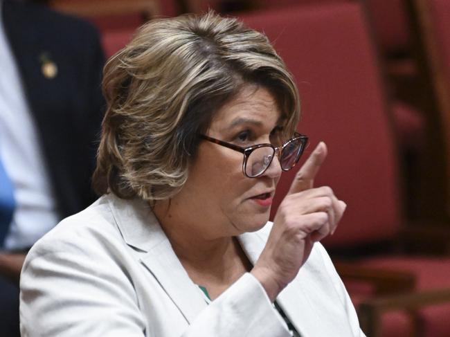 CANBERRA, AUSTRALIA - NewsWire Photos September 07, 2022: SA Liberal senator Kerrynne Liddle gives her maiden speech in the Senate at Parliament House in Canberra. Picture: NCA NewsWire / Martin Ollman