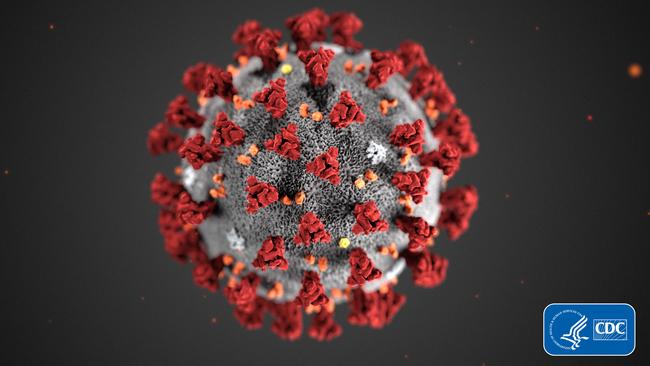 This illustration provided by the Centers for Disease Control and Prevention (CDC) shows the novel coronavirus.