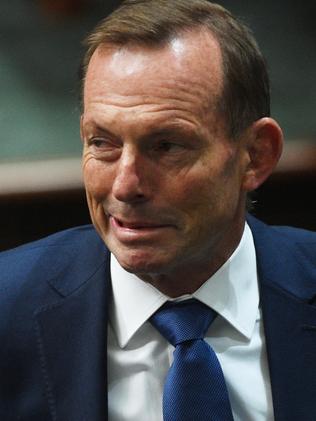 Former prime minister Tony Abbott has reportedly told the Tories he thinks he can win back the top job. Picture: AAP