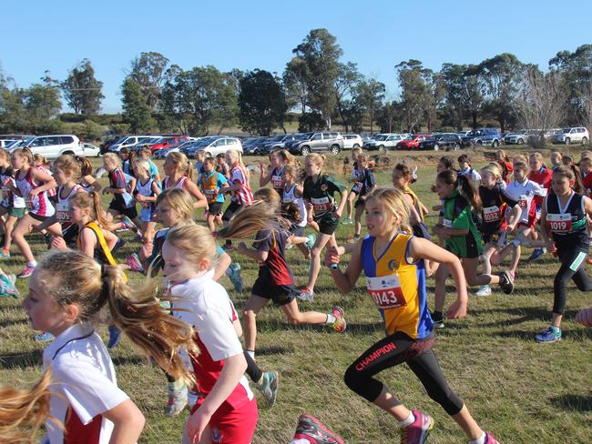 All Schools Cross Country | NT News