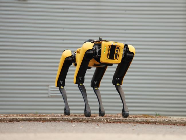 ‘Spot’ the robotic dog has already been around for a few years.