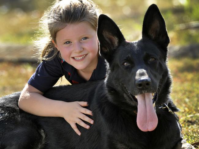 Madiline Pitt, 6, cuddles german shepherd Crazy, an expert in the sport of IPO.