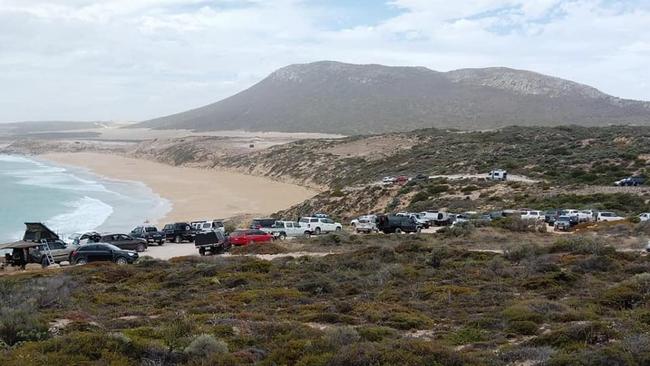 A line of campers at Greenly Beach, near Port Lincoln. Picture: Murray Kelsh