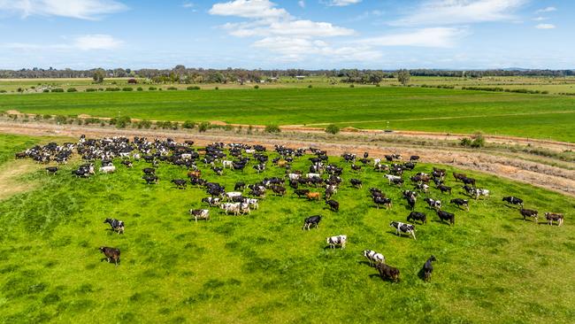 Each of the Girgarre and Tongala dairy farms have been owned for more than a decade.