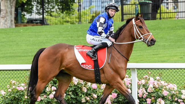 Mugatoo will aim to become the first overseas-bre horse to win the All-Star Mile. Picture: Getty Images