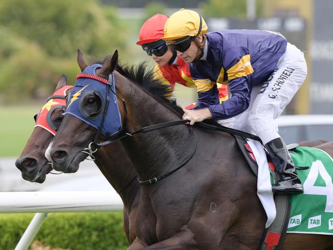 Race 6 - 3:40PM TAB REWARDS HANDICAP (1550 METRES).Winner 'Loyalty man' ridden by Glynn Schofield.