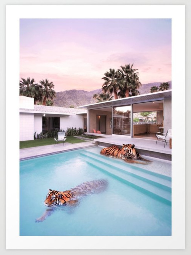 Paul Fuentes Photo, Palm Springs Tigers Art Print.