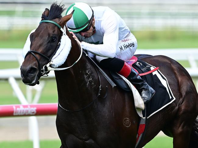 The Bevan Laming-trained Super Seth colt Savour The Dream has won three of his seven career starts. Picture: Grant Peters / Trackside Photography