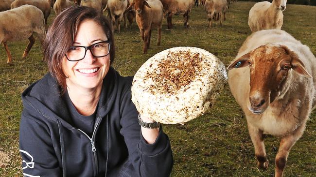 Director of Grandvewe Cheese Nicole Gilliver with her award winning Gin Herbulast cheese and milking sheep as they took out three awards at the World Dairy Innovation Awards in Lisbon, Portugal.  Picture: Zak Simmonds