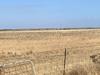 Tiny SA town to swell by thousands under housing plan