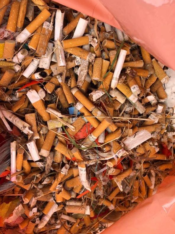 Melbourne’s beaches are choked with cigarette butts.