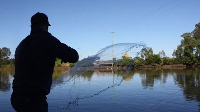 Investigations by State Environment Department officers after the Albert River sewer leak.