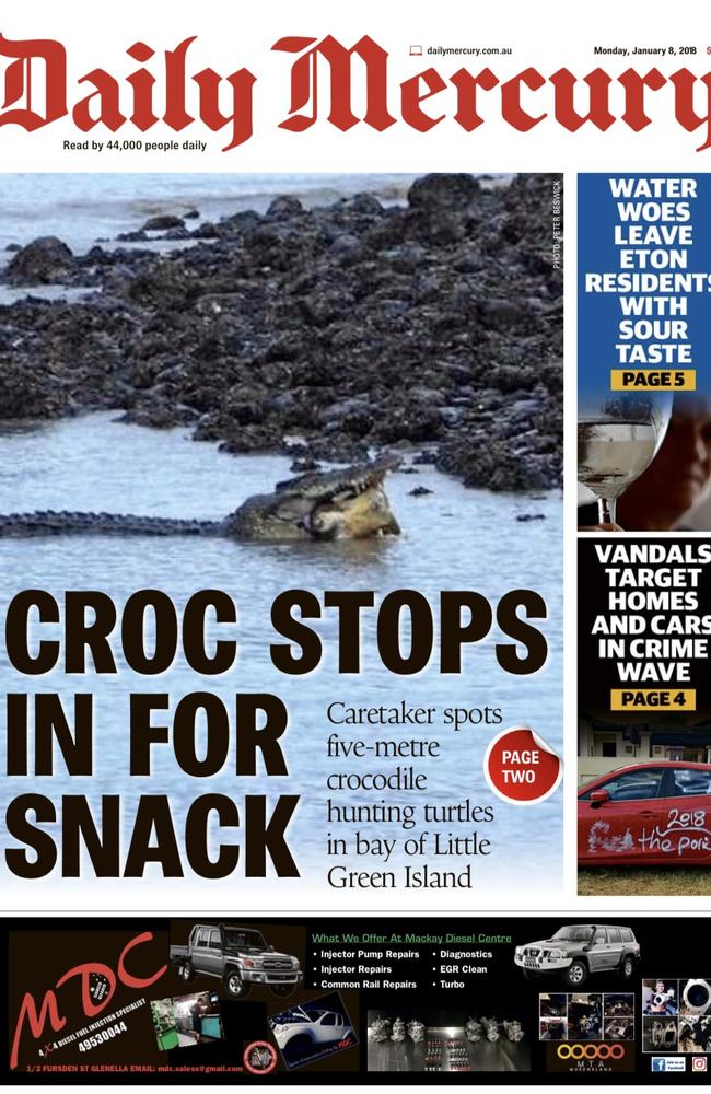 Daily Mercury crocodile front pages.